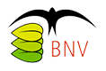 logo BNV